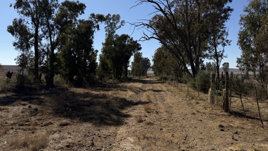 Commercial Property for Sale in Senekal Free State